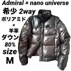 Item thumbnail for item 82b5d325-eb2f-4fdb-8a86-06a49cb4df92