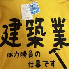 日向坂46】 山口家連れ込み隊 Tシャツ XLサイズ 【山口陽世】 - メルカリ