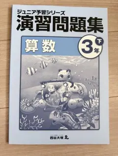 2026年最新】ジュニア予習シリーズ 3年の人気アイテム - メルカリ