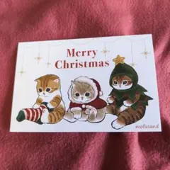 猫のクリスマスポストカード