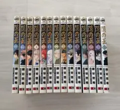 完結】【即購入OK】未来日記全巻 1〜12巻セット+モザイク•パラドックス