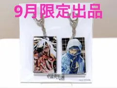呪術廻戦モジュロ アクリルキーホルダー 2種セット - メルカリ
