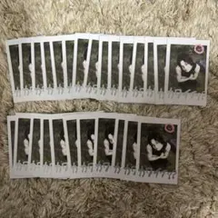 &TEAM K ケイ チェキ風カード 26枚セット