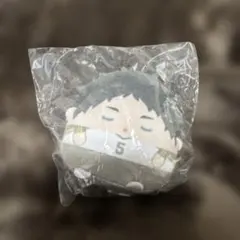 ハイキュー　くじメイト　ぬいくじ　てのりんずコレクション E賞 赤葦京治