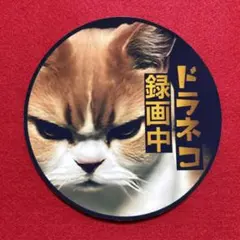 ドラネコ録画中　パロディ　ステッカー　防犯　デコトラ　レトロ　旧車会