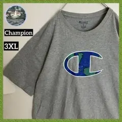 チャンピオン 超オーバーサイズ 刺繍目玉 霜降り Tシャツtシャツ グレーtee