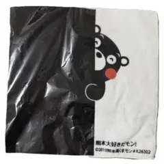 Item thumbnail for item 4f483282-b9d5-43b4-b73a-f54380af8080