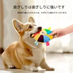 カラフル音が出る犬用フリスビーのサムネイル