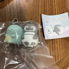 すみっコぐらしと神戸須磨シーワールドのいきものたち
