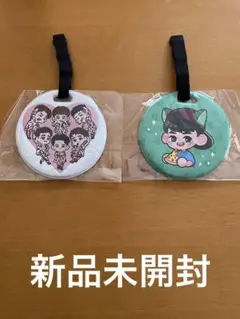 新品未開封 2PM テギョン ラゲッジタグ