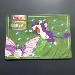コラッタ トップサン