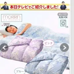 ミ*様様 モリリン洗えるダウンケット2枚組　JTDF60S シングルセットのサムネイル