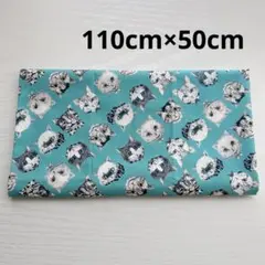 Ringo ネコズ オックス カットクロス