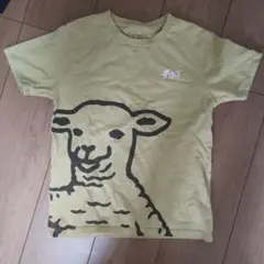 graniph グラニフ キッズ Tシャツ 140cm