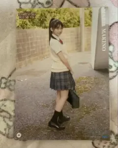 Item thumbnail for item 4a5b008b-f473-40bc-938d-2327cd210c9c