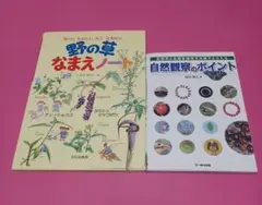 Item thumbnail for item fa0d1849-d42a-4ff6-81c4-7513da9d8927