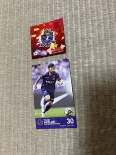 Item thumbnail for item 41cb2f9e-564a-47cd-a3ed-f05b1a8e300a