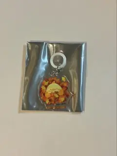 ぴよりん　JR推し旅　 アクリルキーホルダー　めじるしチャーム