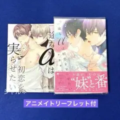 一途なαは初恋を実らせたい　中野郁　アニメイトリーフレット付
