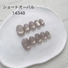 No. 542 ネイルチップ　フラッシュマグネットネイル　マグネットネイル
