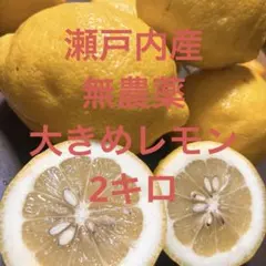 大崎上島 瀬戸内レモン 農薬不使用　10キロ　KI 栽培期間農薬不使用】大崎上島産レモン10kg：広島県産のみかん・柑橘類