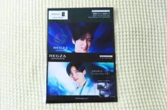 【非売品】目黒連:REGZA (レグザ)チラシ2種類セット