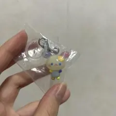 サンリオキャラクターズ　ゆるっとめじるしアクセサリー　うさはな　サンリオ