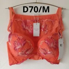 オレンジ　D70/М　レッドレーベル バイ トリンプ　寄せアゲハ