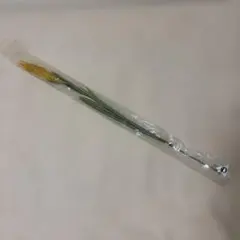 Item thumbnail for item ec98ce64-c63b-41f1-88f5-0a4aac4525b4