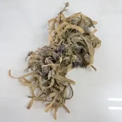 Item thumbnail for item 90b173b8-1d06-4de7-8d11-07d7c5fd5eb4