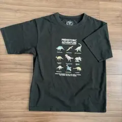 GLOBAL WORK 恐竜 Tシャツ 半袖のサムネイル
