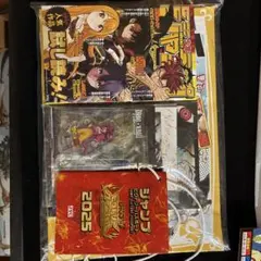 ジャンプビクトリーカーニバル2025 入場特典&パスポート(一部抜き取りあり)