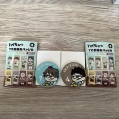 ハイキュー!! 青葉城西高校セット TD刺繍缶バッジB