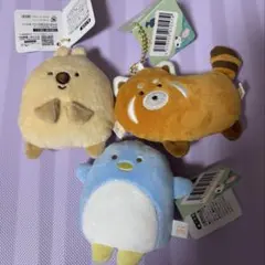 2026年最新】つぶらな瞳の動物園の人気アイテム - メルカリ