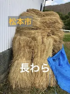 稲わら 藁 長わら 大容量のサムネイル