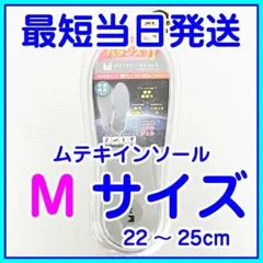 ムテキインソール 健康用品