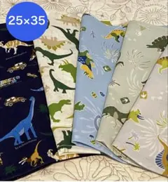 ★恐竜セット　ランチマット５枚★25×35 男の子