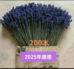 hanatoteto様 リクエスト 4点 まとめ商品