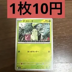 チコリータ C 残り3枚のサムネイル