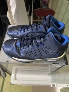 Jordan バスケットボールシューズ NIKE ナイキ