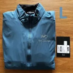 完売品！パタゴニア アトムSLベスト　入手困難！