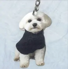 Item thumbnail for item 22f5baa0-2087-4c51-86f3-95cf6eee441b