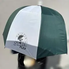 Item thumbnail for item 80f2e0b9-90b5-4428-a93b-02e4e2350a46