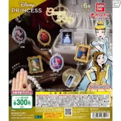Disney Princess Canvas Ring【美女と野獣】
