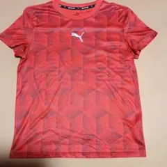 PUMA 幾何学模様 レッド Tシャツ
