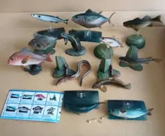 2025年最新】海洋堂 魚の人気アイテム - メルカリ
