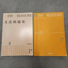 NEW TREASURE STAGE3　文法問題集　テキスト