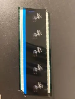 鬼滅の刃 映画特典 竈門炭治郎 禰豆子 入場者特典 フィルムコマ