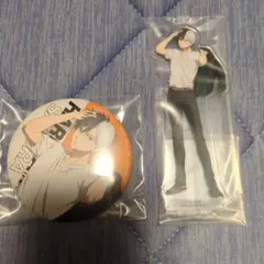 WINDBREAKEREアクリルスタンド 缶バッジ 桜遥