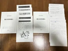 鉄緑会 高3化学夏季分野別講習(構造決定) 冊子 - メルカリ